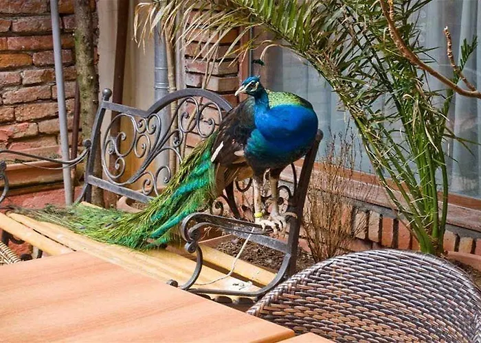 Отель Tafaj Тирана